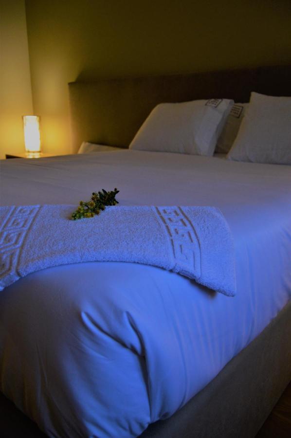 Vila Nova de Famalicão Villam Natura & Spa מראה חיצוני תמונה